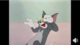A SAFECAT Adverti  n&atilde;o ao COVID