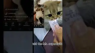 IS THE CAT MORE EVIL THAN HIM ?💀 #cat  #shorts #funny