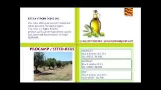 PROCAMP REUS 02/2014 English