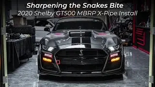 Sharpening the Snake Bite | 2020+ Ford Mustang Shelby GT500 MBRP X-Pipe Install