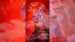 WilDoz - 100 Doutes