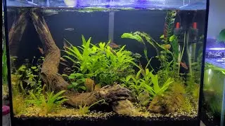 FIRST FISH ROOM TOUR (PART 1)