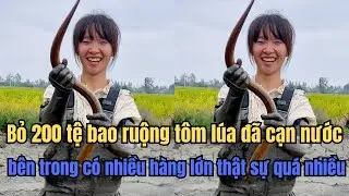 CHI CƯỢC 200 TỆ: Khi Chú Chủ Ao Không Tin ẢO MUỘI Biết Bắt Lươn Và Cái Kết Bội Thu Bất Ngờ.