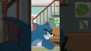 TOM @ jerry cartoon @best friend @wbkids #tomandjerry