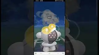 TWO *SHIELD* FLEX AND NUKING AZU IS SO SATISFYING IN POKEMON GO #shorts