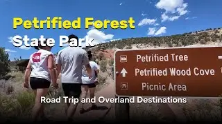 Exploring Petrified Forest State Park | Utah's Hidden Gem 🌲
