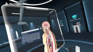 Human Anatomy VR