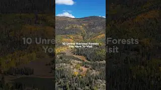 These national forests belong on your bucket list! 😍 #visitusaparks #nationalforest #travel