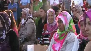 Pelit senlikleri  _3_ 2009 :     Yapracik