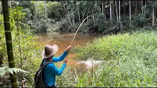 Pescaria de traíra em um açudinho abandonado estavam escondidas de baixo do capim, deu bruta!!!