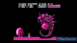 Ninja Gaiden Finale
