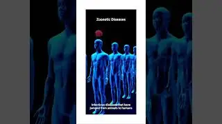 Animal Diseases, Are They Infecting Humans?