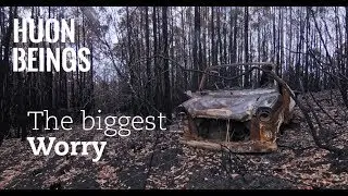 Huon Beings - The Biggest Worry | Huon Valley Tasmania