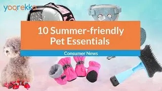 10 Pet Essentials | 10 Summer Pet Care Items That Just Work Well With Your Cat or Dog