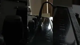 Wem Watkins copicat Custom tube echo