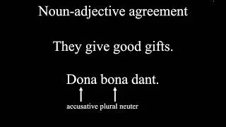 Unit 3 - adjectives