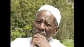 أولاد البرعي   الأصلو نور من نور