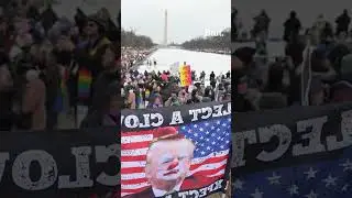 People Protest Trump at the 2025 People's March in D.C.