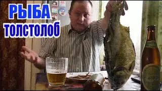 Пиво из Львова под вяленого толстолоба...