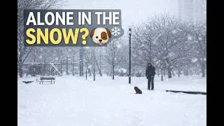 See how Crazy Weather In The Canada (Heavy Snow Storm)