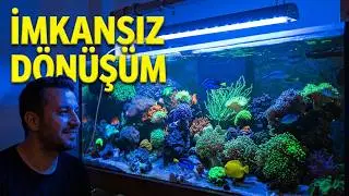 Tatlı su led lambasinin Tuzlu su armatürüne dönüşümü!
