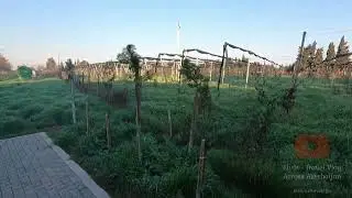 I Love Bilasuvar - ресторан и прогулочный тур