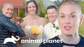 2 Tiernas e inolvidables adopciones de mascotas | Amanda al Rescate | Animal Planet