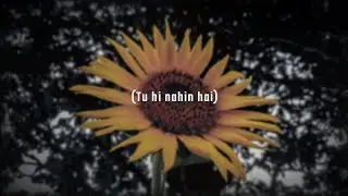 Tu Nahin Hai Official Audio Song (256kbps)
