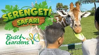 TOUR NO BUSCH GARDENS - Alimentando Girafas no Serengueti Safari