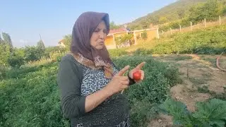 BEYİN TÜMÖRÜ OLMASINA RAĞMEN ÇALIŞIYOR | HER ŞEYİ YETİŞTİRİYOR | BİZİM BAHÇEYİ GEZİP NOTUMU VERDİ