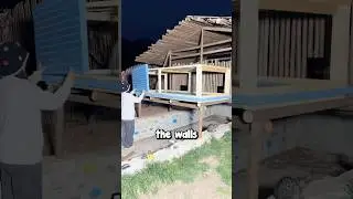 Upgrading a Cat Shelter 😱❤️