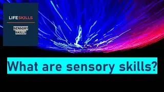Sensory skills. Episode 1. What are sensory skills?