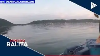 Mga tilapia na namatay sa fish kill sa Taal Lake, gagawing fertilizer