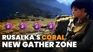 BDO | Ultimate Rotations for Rusalka's Coral | Quick Life Skill Guide