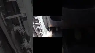 ✅Vano porta fusibili abitacolo Fiat Bravo #fiat  #shortvideo  #shortsvideo  #shorts