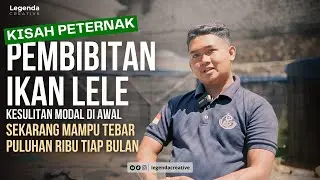 JUAL MOTOR DEMI MODAL AWAL, SEKARANG TEBAR PULUHAN RIBU TIAP BULAN #bibitlele #ternaklele #pakanlele