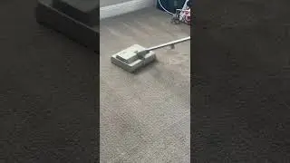 Sebo Duo agitation #carpetcleaning #oddlysatisfying #asmrsounds #tiktok #seboduo