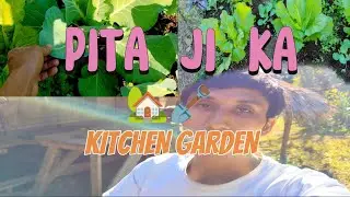 PITA JI KA KITCHEN 🏡🪏 ##Sarso ka saag🌿☘️🍃🌱