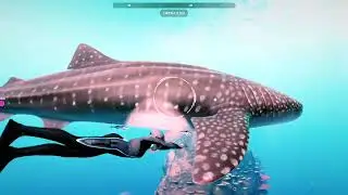 Beyond Blue - Opening Song! (Gameplay)