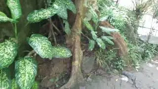 Bulawan falls @simple life