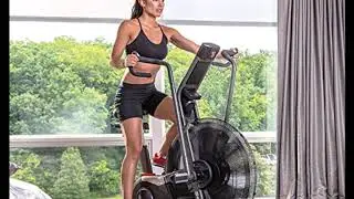 Schwinn Airdyne Pro Review Exercise Bike
