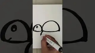 How to Draw Turtle or tortoise for beginners | Easy Drawings @theShift_24