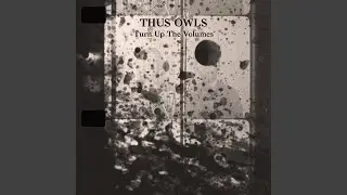 Turn Up The Volumes