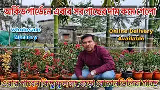 গাছের দাম এতো কম করে দিলো‌ এবার ফুল সহ বোগেনভিলিয়া গাছ পাবেন / Orchid Garden Nursery 