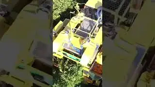 Это комбайн для автоматизированной уборки апельсинов. В день собирает до 450 тонн фруктов.