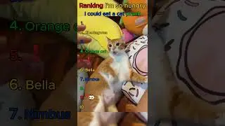 Ranking I'm So Hungry I Could Eat a Cat Prank