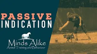 Minds Alike - Passive Indication