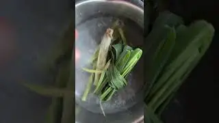 Garden to Table Lemongrass Tea!