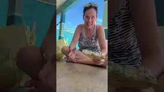 Caring for the beaches of my hometown of Saquarema.  