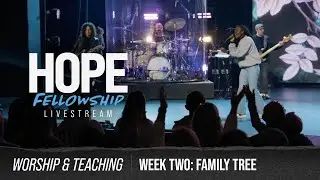 Family Tree: Our Branches // Full Service Experience
